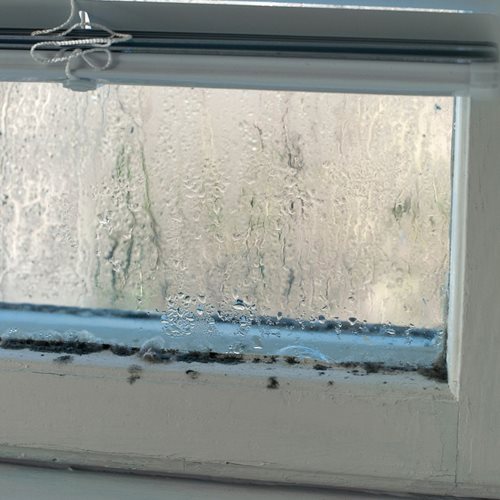 condensation-and-mould-on-window