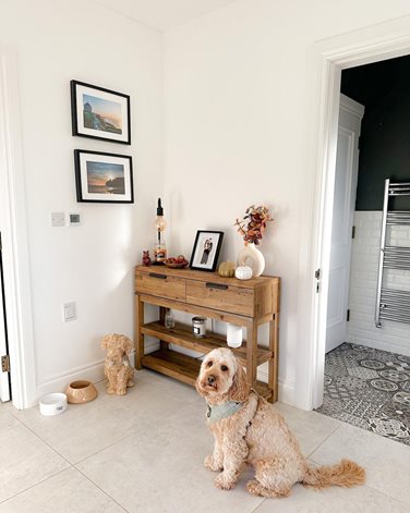 @countryhomeni-hallway-with-Beam-Central-Vacuum-inlet-and-dog