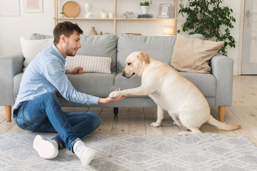 man holding dogs paw on living room floor